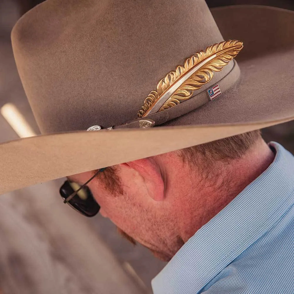 Golden Hat Feather