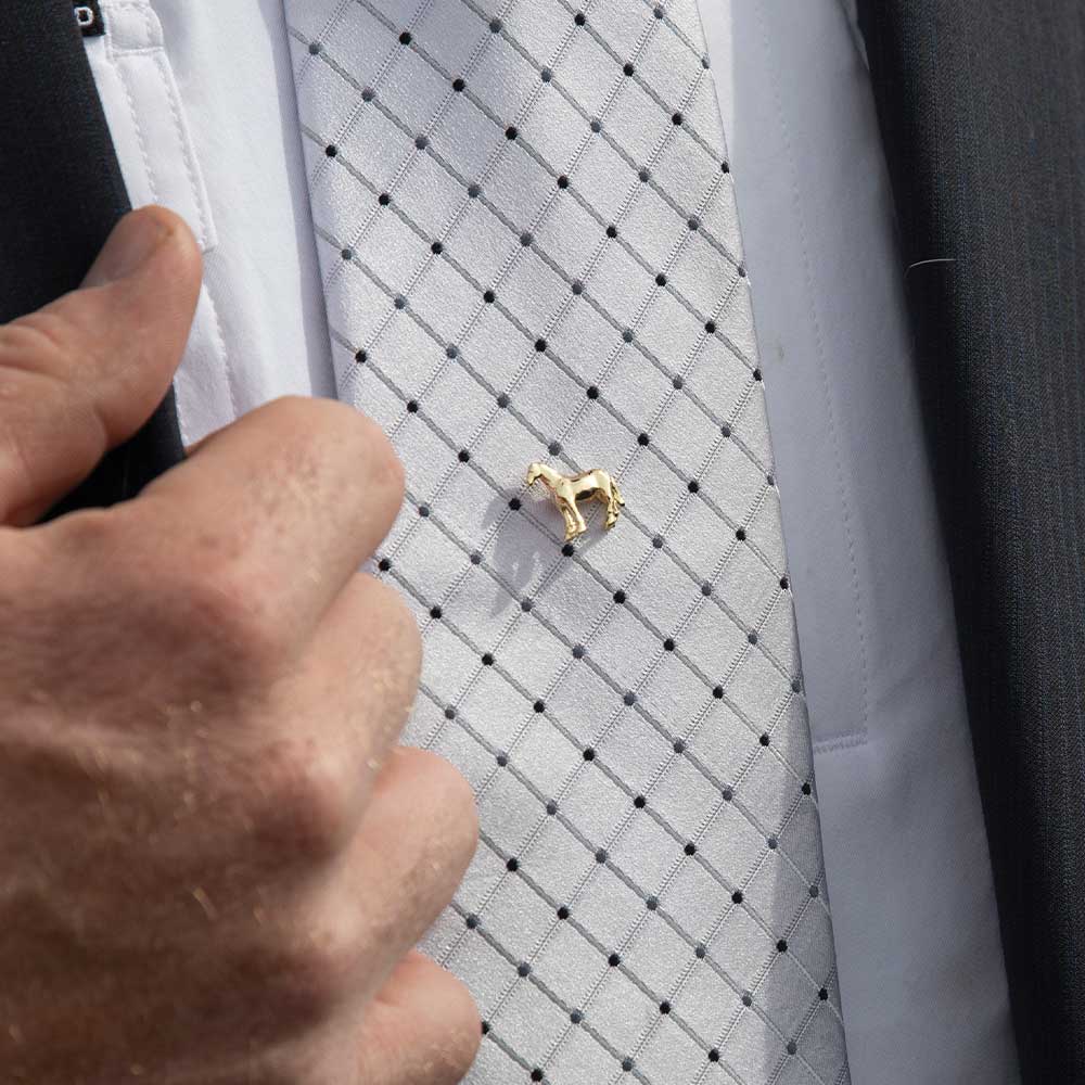 Enjoy the Ride Pins